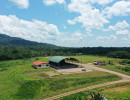 dji
