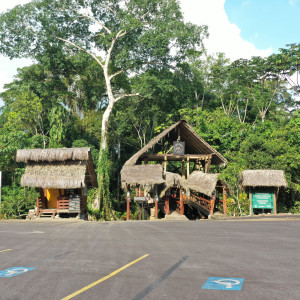 dji