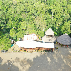 dji