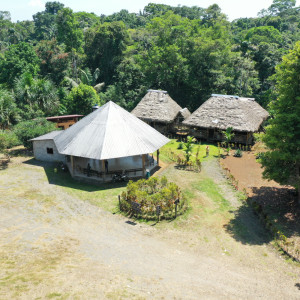 dji