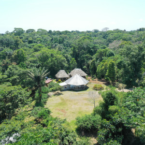 dji