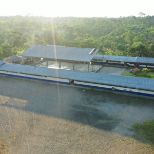 dji