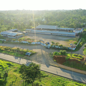 dji