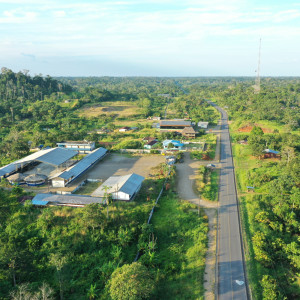 dji
