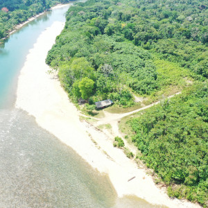 dji