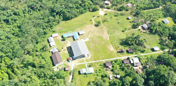 dji