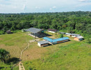 dji