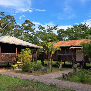 img wa0045