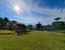 img wa0053