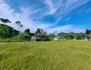 img wa0055