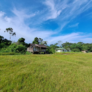 img wa0055