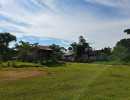 img wa0057