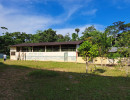 img wa0060